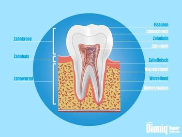 Зубна паста Bioniq Duo, 3 x 75 мл і Tooth Milk, 1 x 400 мл в наборі - Захист для чутливих зубів Відновлююча зубна паста та ополіскувач для порожнини рота зі штучною зубною емаллю Без фтору