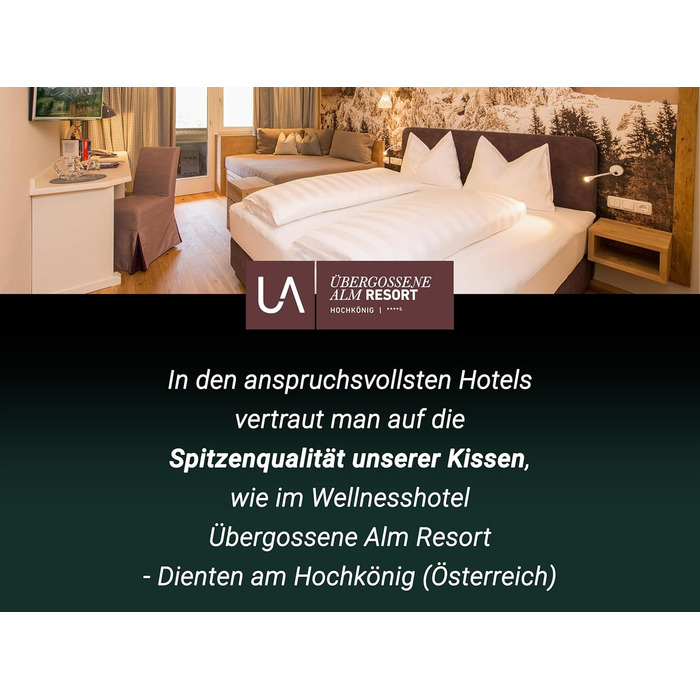 Набір із 2 подушок ZOLLNER - Виготовлено в Європі - Наповнювач поліестер - Чохол зі змішаної тканини - Можна прати при температурі до 95C - 40x40 см - Готельна якість - Сертифіковано Oeko-Tex 40 x 40 см