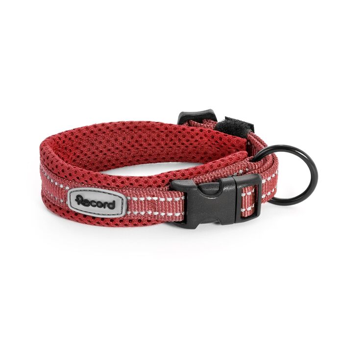 Нашийник для собак Ande міцний нейлоновий світловідбиваючі елементи пластикова застібка колір червоний розмір XS 1,5 см обхват 30-35 см червоний XS - 1,5 смОбхват 30-35 см