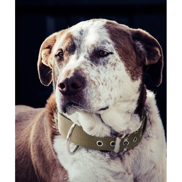 Тактичний нашийник для великих собак 5 см, міцний нейлоновий нашийник K9 з ручкою для контролю, камуфляжний, товщина 0.6 см, розмір L (48-60 см), армійсько-зелений