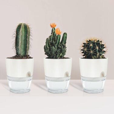 Пластикові квіткові горщики, 6 шт. , 22,3 см/15,3 см/10,5 см/8,2 см, горщики для трав із самополивом та резервуаром для води, сучасні горщики для кімнатних рослин, квітів та трав - Білі, комплект із 6 предметів