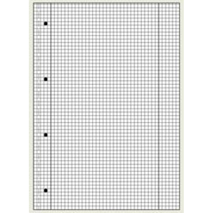 Блоків для студентів А4, лінеатурні блоки, 28 квадратів, 80 аркушів, білі (10), 10