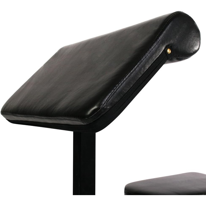 Лава для згинань рук Physionics сидіння 5 положень, підлокітники 4 положення, стійка для штанги 6 положень з регулюванням висоти, до 200 кг лава для штанг з подушкою для згинань рук, лава для біцепсів, лава Скотта, тренажер для згинань рук