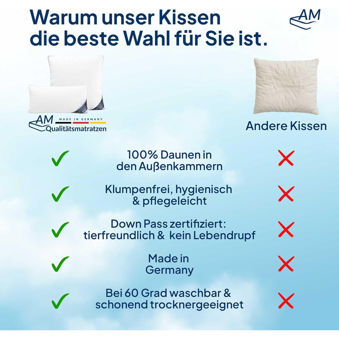 Пухова подушка 80x80 - Зроблено в Німеччині, 3-камерна подушка 80x80 см - зовнішня камера зі 100 пуху - пір&39яна подушка 80 x 80 см, підходить для алергіків - подушка 80x80, наповнювач з пуху та пера, 80 x 80 см