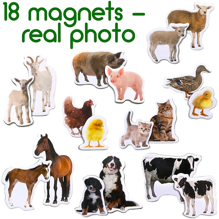 Магніти для дітей на магнітну дошку - Іграшки-магніти для дітей - Магніти на холодильник для дітей - Набір магнітів на холодильник