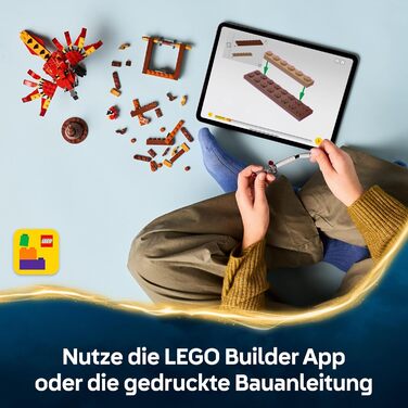 Конструктор LEGO Harry Potter Фенікс Фоукс, 299 деталей