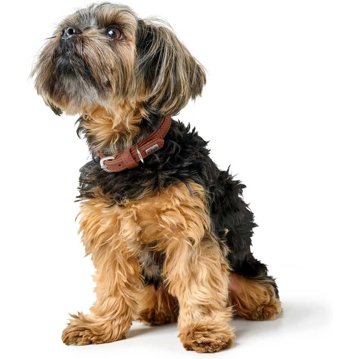 Ошийник для собак Hunter SOHO MINI, колір коньяк, шкіра яловичини, м'яка та еластична, дбайливий до шерсті, легкий, для маленьких собак та цуценят, виготовлено в Німеччині, розмір 37 коньяк 37