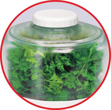 Електричний подрібнювач, 1000 Вт, 500 мл, відсік для зберігання кабелю, 4 функції дроблення, змішування, змішування, подрібнення, DPA130, білий одинарний