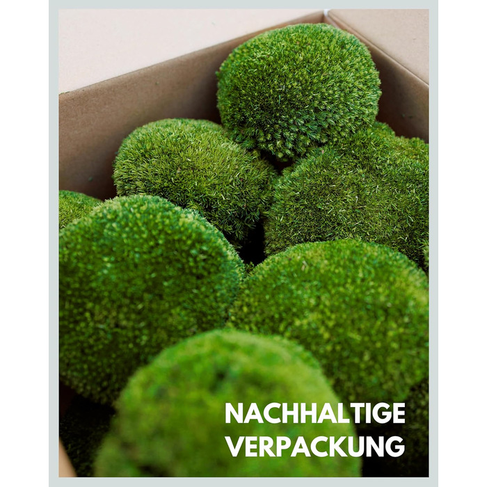 Шаровий мох збережений натуральний зелений 125 г Справжній Болленмосс для фотографій моху Міцний мох для рукоділля Водостійкий натуральний зелений ісландський мох