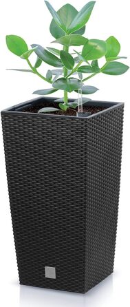 Каструля-таймер на 26,6 л зі вставкою 26,5 x 26,5 x 50 см, антрацитового кольору, чорна одинарна