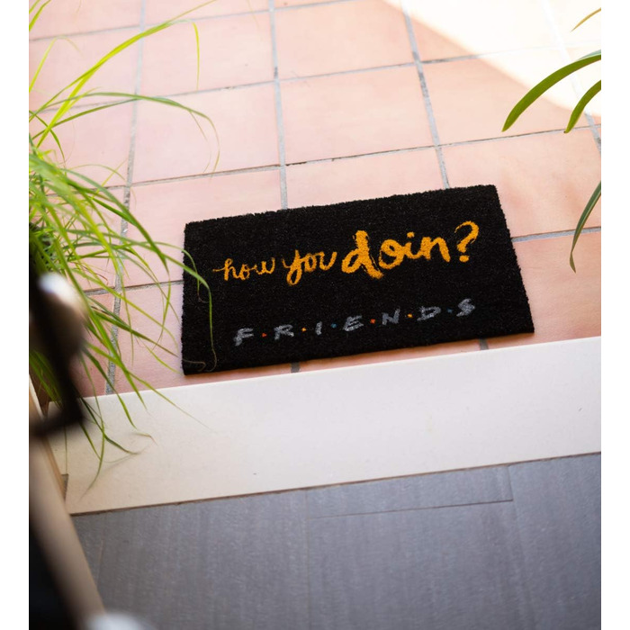 Килимок Grupo Erik Coconut Mat Килимок для дверей Friends How Do You Doin&39 - Килимок для бруду 40x60 см - Забавний килимок для дверей - Килимок для дверей в приміщенні How You Doin&39