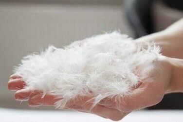 Пухова подушка Світ мрій з 1 пухом 3-камерна подушка Трикамерна подушка 80x80 см Вага наповнювача 1400 грамів Чохол 100 бавовна Пухова подушка Не вищипує живих істот Білий