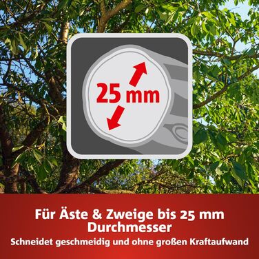Обрізувачі дерев WOLF-Garten PREMIUM PLUS RS 4000 з ковадлом (для гілок діаметром до 25 мм, з лезами з антипригарним покриттям, ідеально підходять для звичайної обрізки дерев) 73CFA005650, червоно-жовті, Premium Plus Single