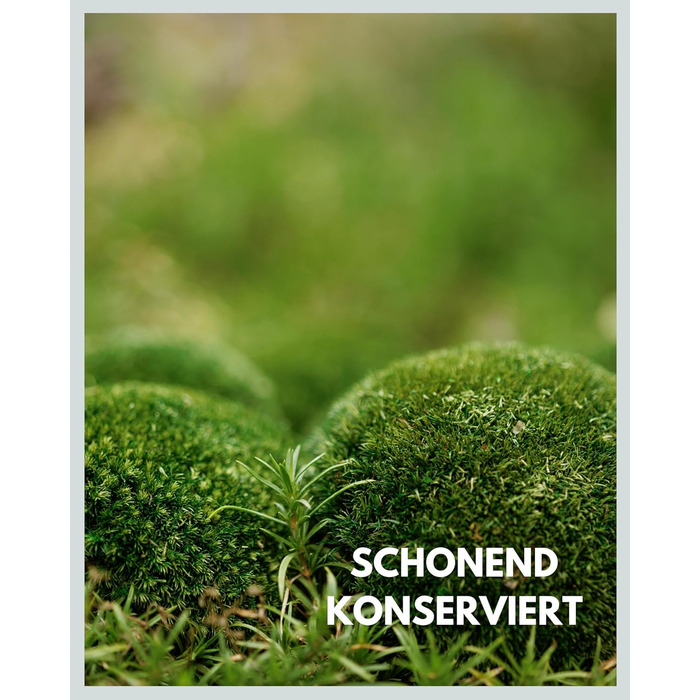 Шаровий мох збережений натуральний зелений 125 г Справжній Болленмосс для фотографій моху Міцний мох для рукоділля Водостійкий натуральний зелений ісландський мох