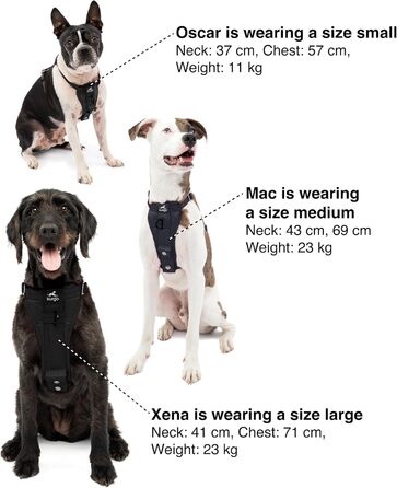 Повідець-Шлейка для Собак, Антитягнучий Шлейка з Переднім Кріпленням для Навчання та Автомобільний Ремінь Безпеки для Собак. Чорний, Розмір L (великий) Чорний Великий