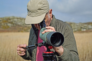 Підзорна труба Kowa TSN-601 60 mm Angled (10016)