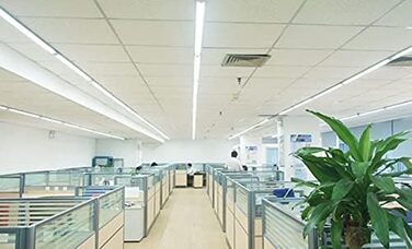 Упаковка 10 шт. Philips 4-65 Вт універсальний стартер FSU S10