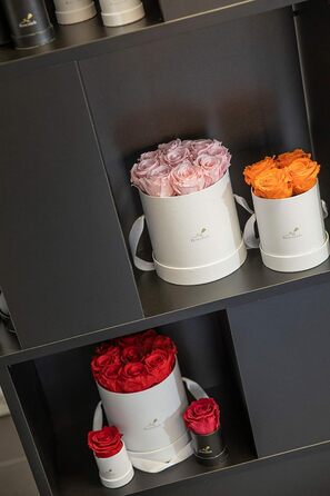 Коробка для троянд Rosenlieb з 4 трояндами Infinity (термін зберігання 3 роки) Справжні збережені квіти Flowerbox вкл. листівку Подарункова коробка для жінок, подруга, різдво (квадрат Bravo чорний, рожевий)