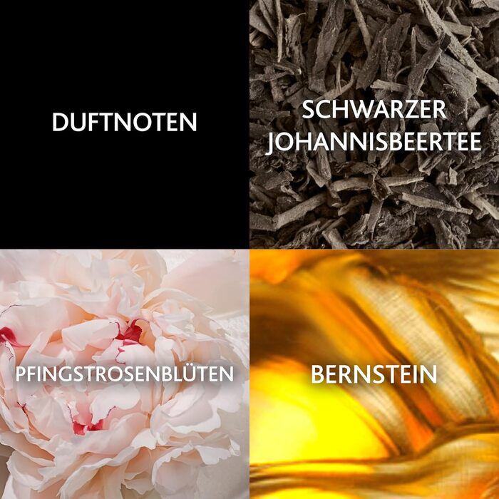 Для жінок, екзотичний, яскравий та гламурний аромат, ваніль, мускус та квітковий бурштин, стійкий спрей Eau de Parfum для щоденного використання, 50 мл