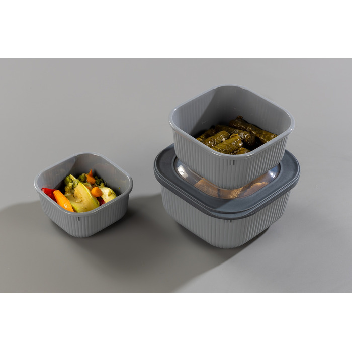 Набір контейнерів 0,6/1,1/1,8 Line Box Gray Idea Home