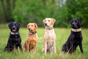 Тактичний нашийник для собак, міцний, світловідбиваючий нашийник з ручкою, широкий нашийник для середніх та великих порід, ширина 6,6 см, військовий нашийник з регульованим обхватом шиї 44-64 см, чорний
