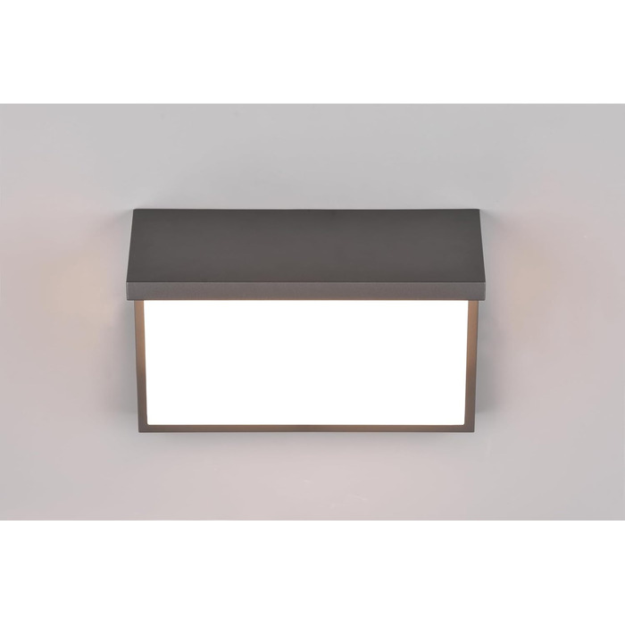 Стічний LED-світильник Trio Leuchten Nestos 240969142, алюміній (антрацит), білий пластиковий плафон, 13 Вт, з датчиком руху
