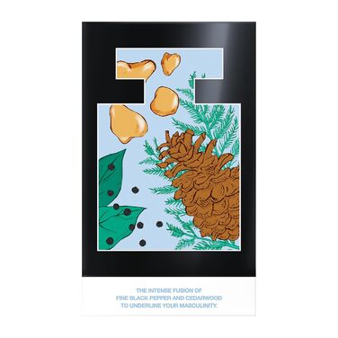 Парфумована вода Mexx Black Man (50 мл)