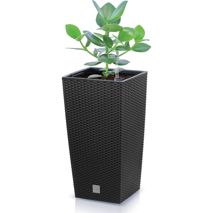 Каструля-таймер на 26,6 л зі вставкою 26,5 x 26,5 x 50 см, антрацитового кольору, чорна одинарна