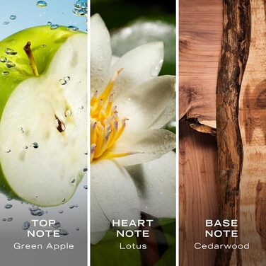 Туалетна вода Nautica Voyage (100 мл)