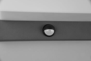 Стічний LED-світильник Trio Leuchten Nestos 240969142, алюміній (антрацит), білий пластиковий плафон, 13 Вт, з датчиком руху