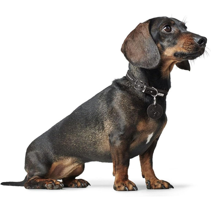 Нашийник для собак HUNTER Aalborg Style, колір чорний, виготовлений з міцної жирної шкіри, надійний, зручний, стильний з металевими заклепками, зроблено в Німеччині, розмір 37 см, чорний