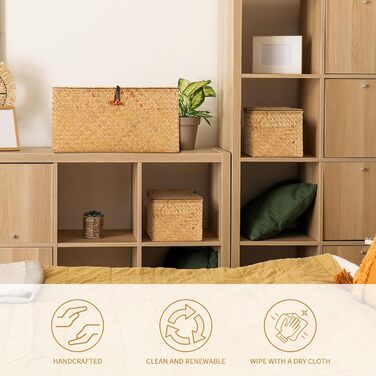 Коробка для зберігання FEILANDUO з 3 предметів з кришкою, плетений кошик для косметики з морських водоростей, кошик-органайзер для робочого столу та вітальні (великий, натуральний)