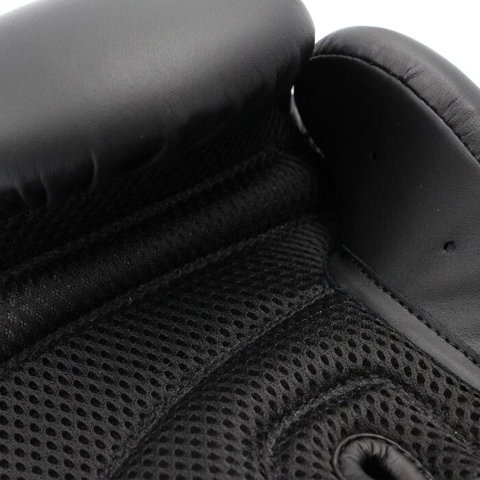 Боксерські рукавички adidas Hybrid 25 - модель початкового рівня, чорні, 10 унцій