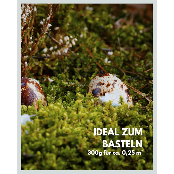 Пластинчастий мох довго зберігав природний зелений Декоративні стінові мохові панелі довговічні Картина з моху своїми руками зроби сам Килимок із натурального зеленого моху, 300 г, Living in Green