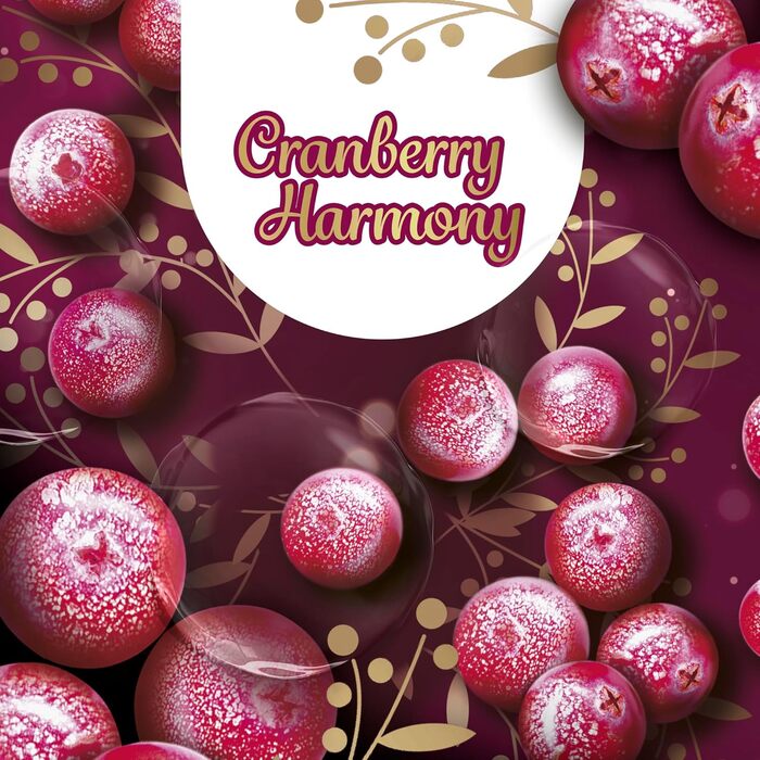 Для автоматичного дозатора мила - 5 х 250 мілілітрів мила для рук у практичній упаковці Fresh 250 мл (упаковка 5)