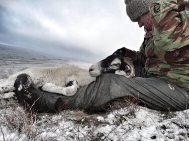 Чоловічі захисні чоботи зеленого кольору, 46 EU, суцільний колір