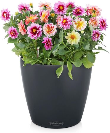 Колір 21 сланець сірий 13184, 22x22x20 см 22x22x20 см сланець сірий