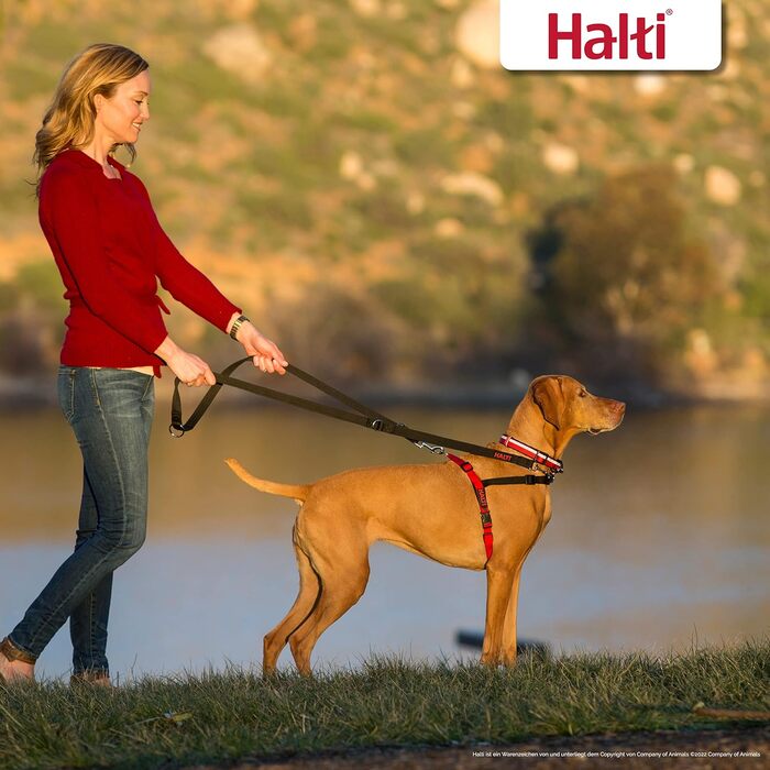 Шлейка HALTI Front Control Anti-Pull Harness, розмір L - Запобігає смиканню собаки за повідок, М&39яко контролює собаку за область грудей, Легко регулюється та використовується