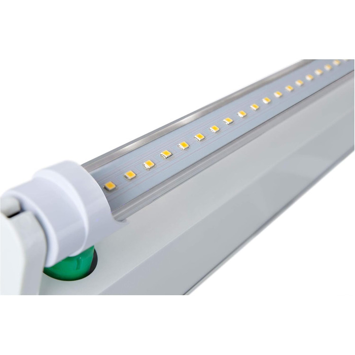 Набір з 2 світлодіодних трубок Showlite 60 см (люмінесцентна лампа 600 мм, T8 G13, 900 люменів, 4500 Кельвінів, денне світло білого кольору, потужність 10 Вт)