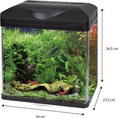 AMTRA LAGUNA LED 30 - 18 літровий скляний акваріум з кришкою, в т.ч. світлодіодне освітлення і фільтр, 30 x 23.5 x 34.5 см, чорний