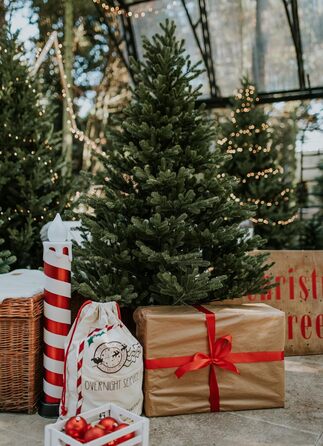 Штучна різдвяна ялинка преміум-класу 180 см TreesHouse