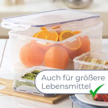 Герметичний контейнер Lock&Lock Classic з ручками та зливним отвором, 10 л 29,5 x 23 x 20,3 см 100 герметичний та водонепроникний контейнер для зберігання продуктів з кришкою Морозостійкий контейнер 10 л зливна решітка
