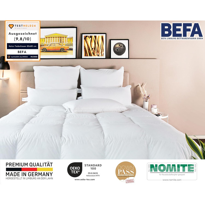 Пухова подушка BEFA NATUR 80x80 см Подушка зі 100 пуху Вага наповнювача 1500 г Підходить для алергіків (NOMITE) Сертифіковано як безпечне для тварин (DOWNPASS) Oeko-TEX Клас 1 Зроблено в Німеччині 80x80 см
