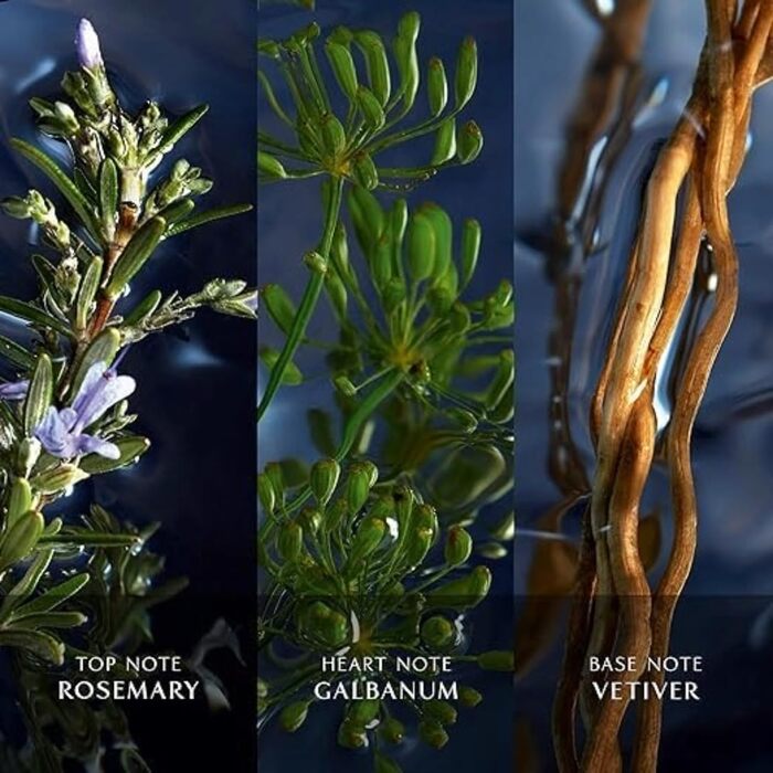 Чоловіча туалетна вода Davidoff Cool Water Reborn (75 мл)