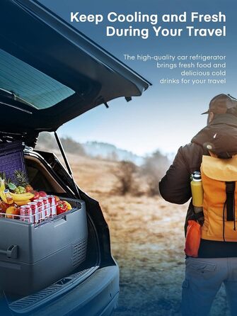 Компресорна холодильна камера, портативний холодильник 60 літрів, портативна холодильна камера 12В (від -20 до 10), знімні дверцят