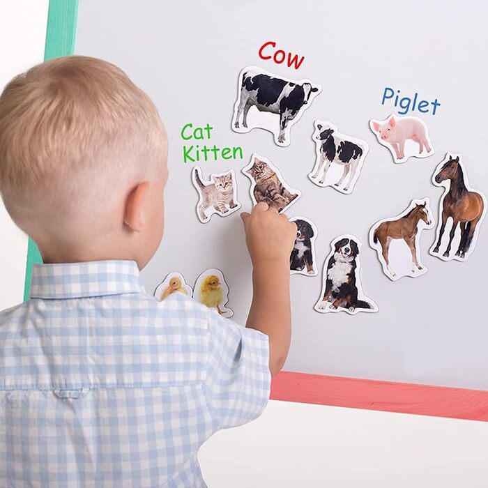 Магніти для дітей на магнітну дошку - Іграшки-магніти для дітей - Магніти на холодильник для дітей - Набір магнітів на холодильник