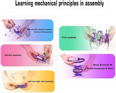 Біосенсорна пов&39язка на голову для медитації, пов&39язка на голову з біоуправлінням мозковими хвилями та керуванням за допомогою застосунку, підходить для різних розмірів голови, для релаксації, самоконтролю та тренування концентрації.