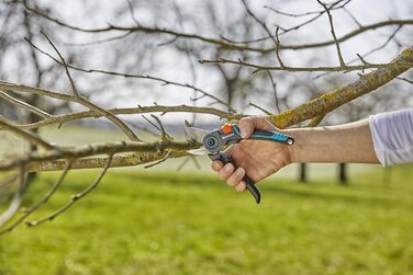 Садові ножиці Gardena ExpertCut Прецизійні ножиці для дерев, обхідний обріз гілок/гілок/фруктових дерев, максимальний діаметр різання 22 мм, 2-рівневе відкриття ручки (12203-20) Одинарні