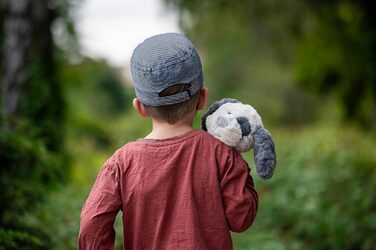 М'яка іграшка Mollis Собака 36 см, біл-сірий