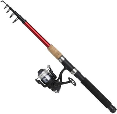Телескопічний щуп DAM Fighter Pro Combo, 180 см, 5-20G